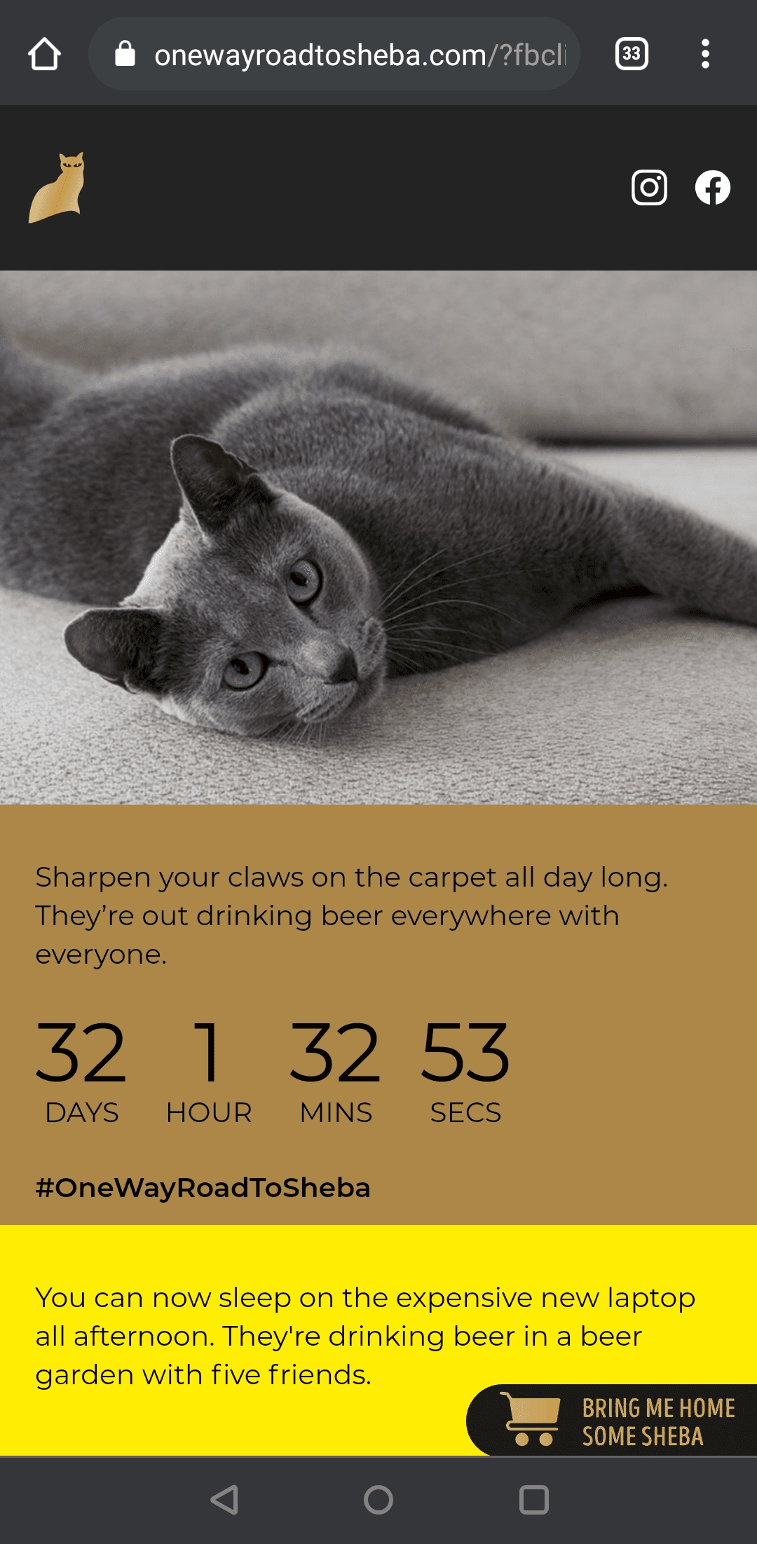 A screenshot of onewayroadtosheba.com showing an almost identical design as onewayroadtobeer.com